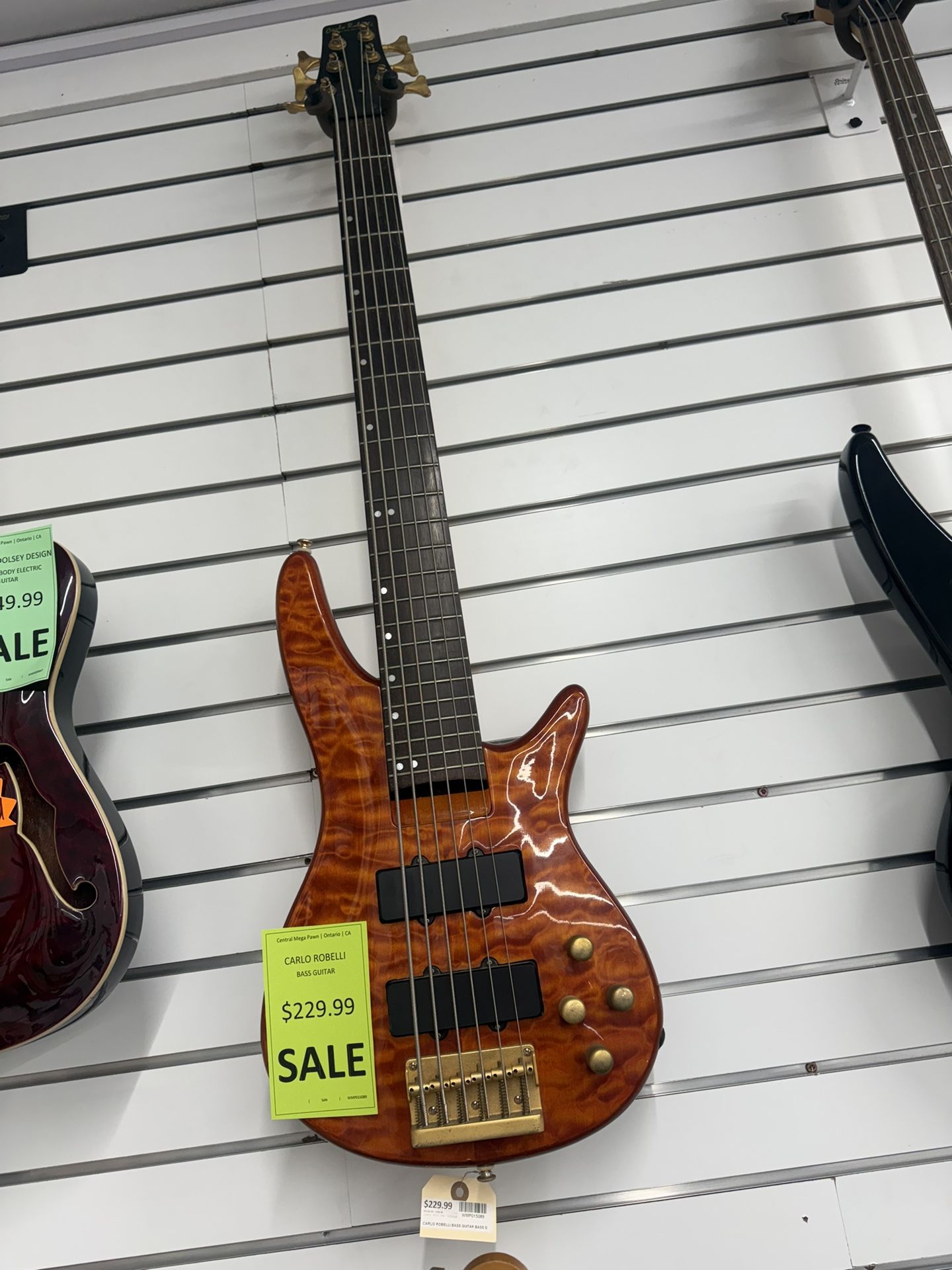 Carlo Robelli; Bass Guitar 🎸🧡 (WMP015089)