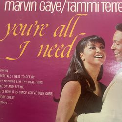 Classic Vinyl Record