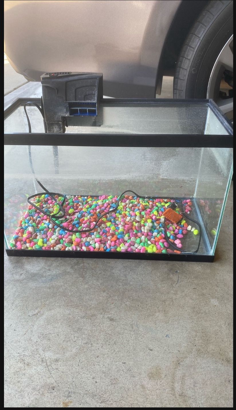 Fish Tank With Filter And Pump
