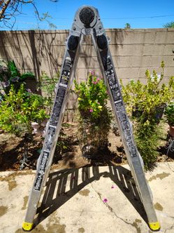 22ft Gorilla Ladder | Escalera