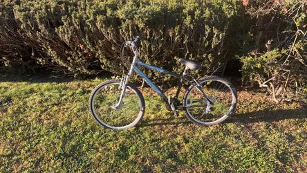 Adult Mountain Bike Silver and Black