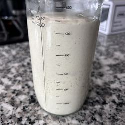 Sourdough Starter For Baking 