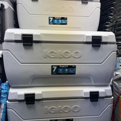   Igloo 165-quart Maxcold Chest Cooler with Butterfly Quick Access Hatch $135 EACH 