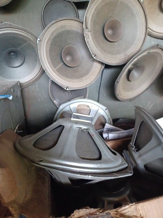 Twelve inch speakers