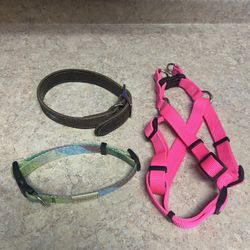 Dog Collars And Harness 