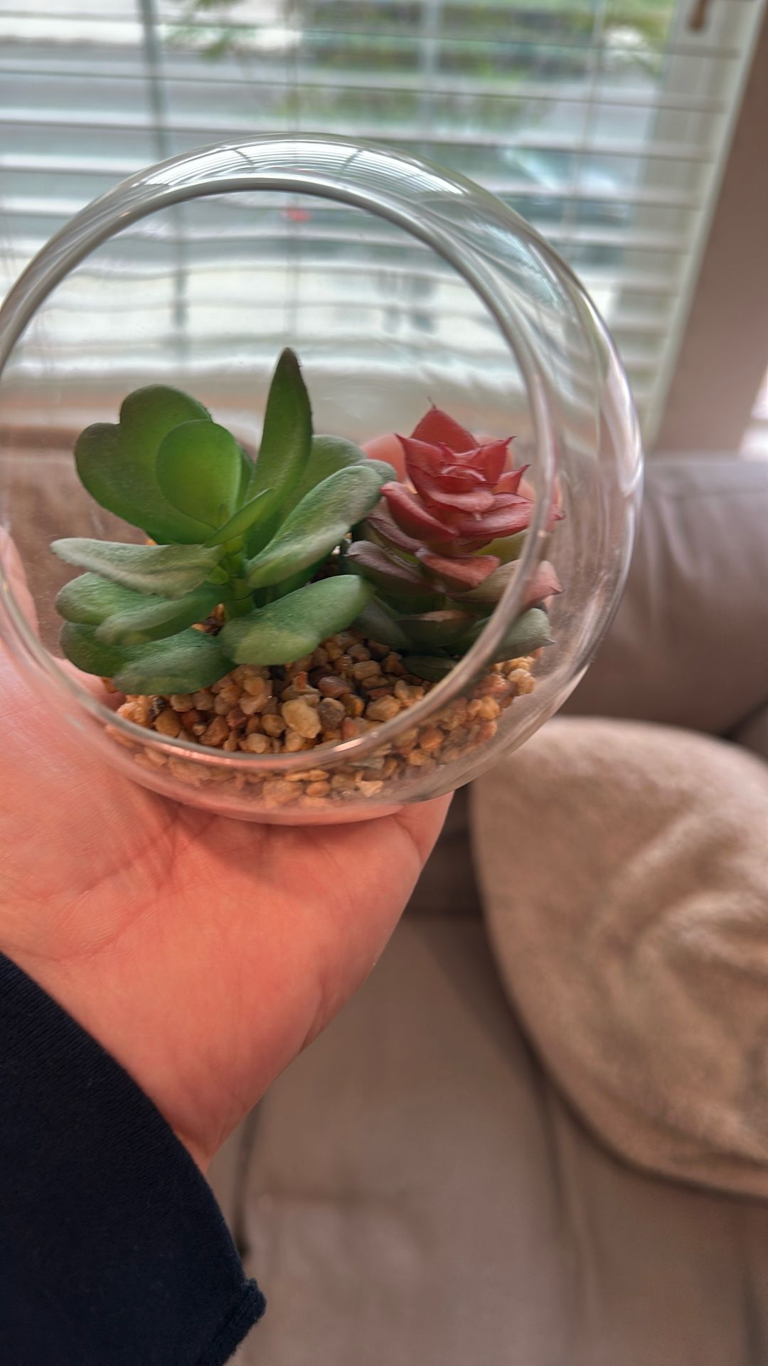 Little Fake Plant In Glass