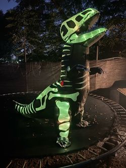 Dinosaur Costume