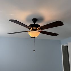 Ceiling Fan With Light
