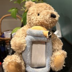 Classic Pooh Bear Plush Toy with Photo Frame