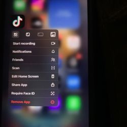 iPhone 15 Pro Max W/ Tik Tok