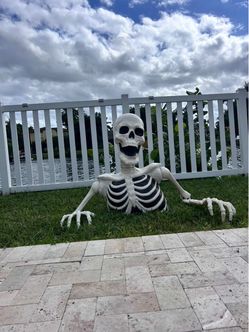 35 in. Skeleton
