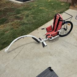 WeeHoo Bike Trailer