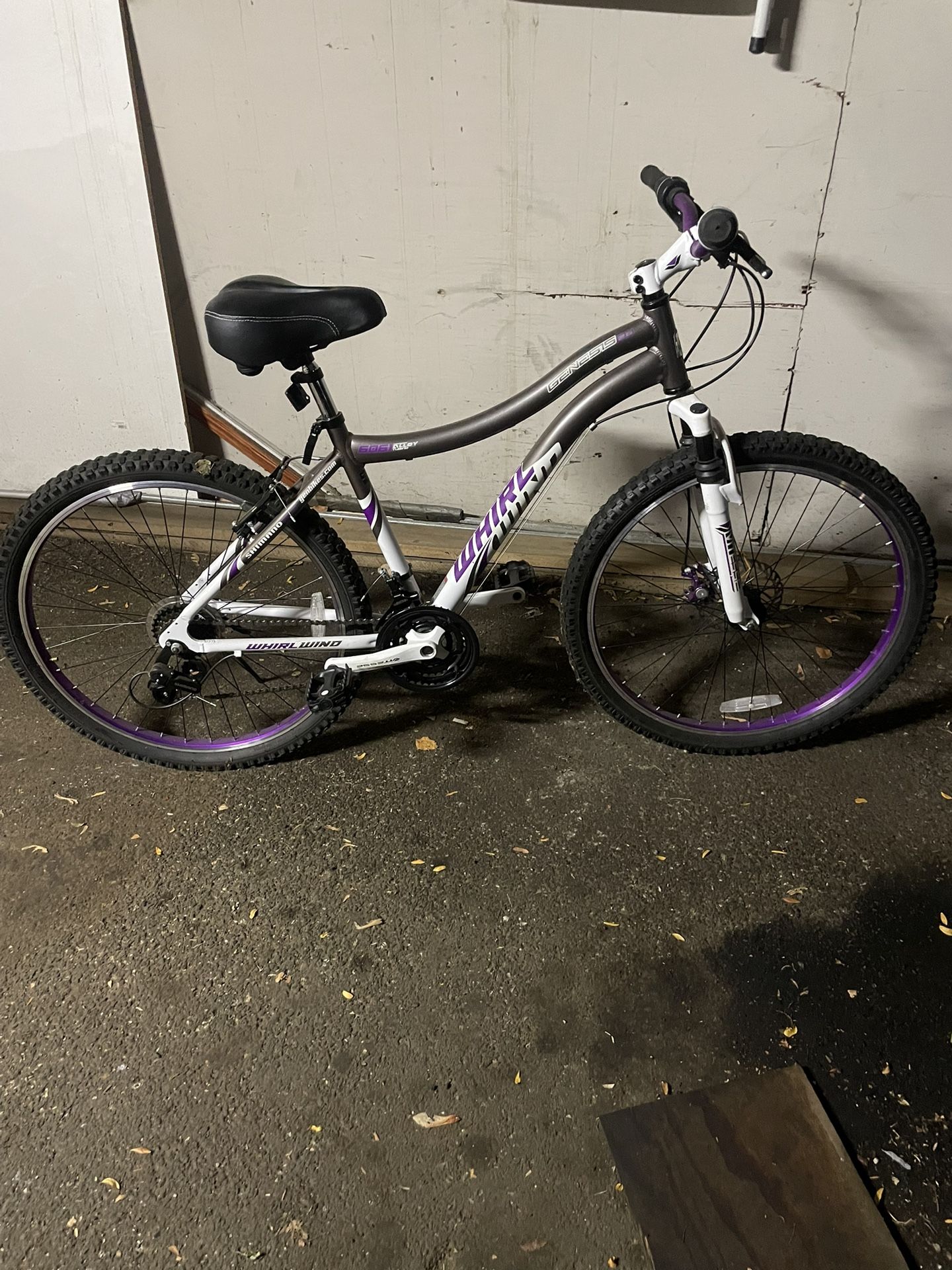 Ladies Genesis whirling Bike