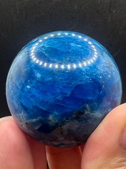 Blue appetite