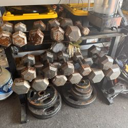 Weight, Dumbells, Plates, Rack, 3 Bars, Bench Complete Package