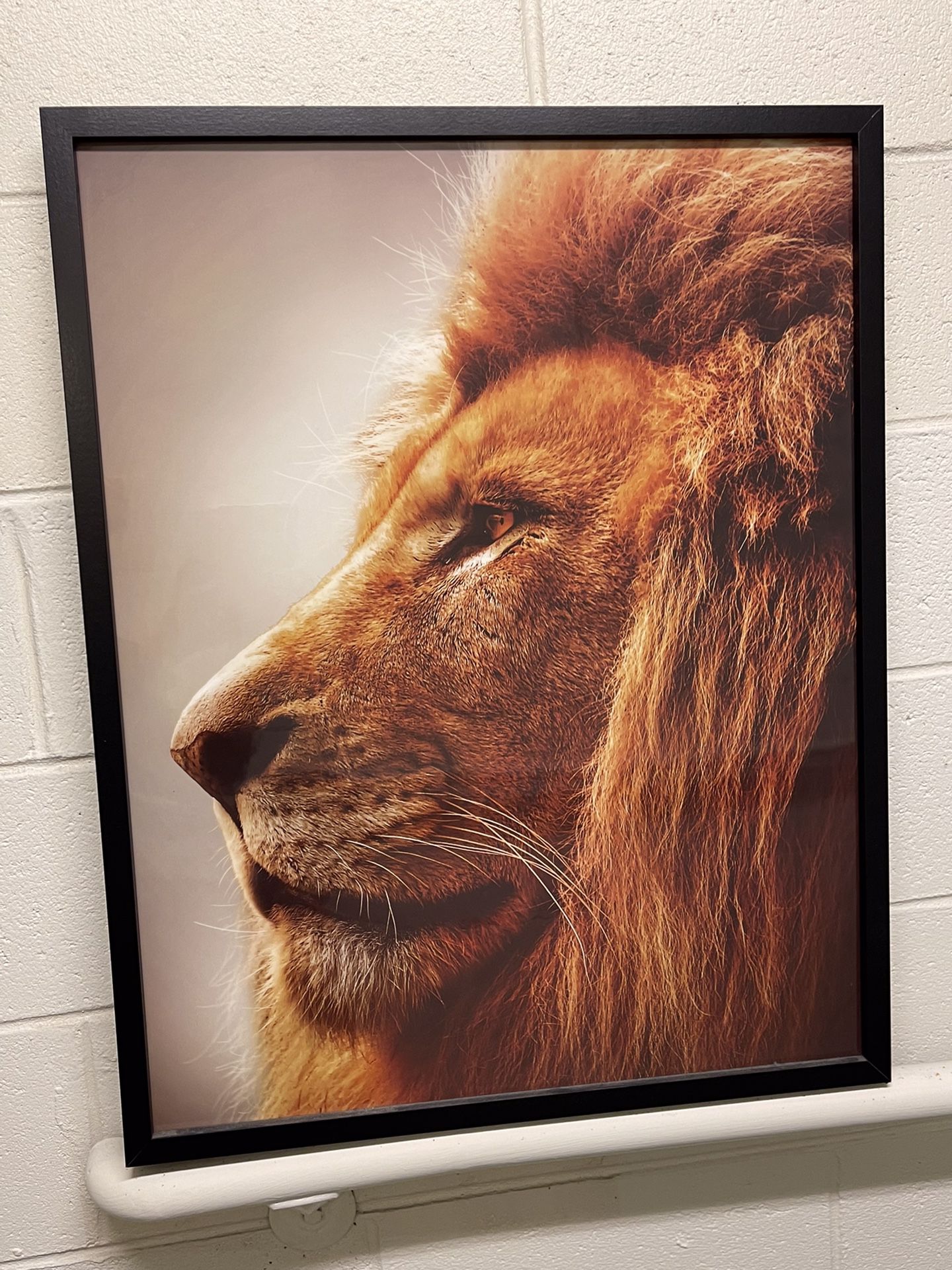 LARGE (29.25" H x 23.25" W x 1.5" Deep) WALL ART - LION HEAD PROFILE - FRAMED PROFESSIONAL PHOTO - firm price