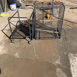 Bird Cage