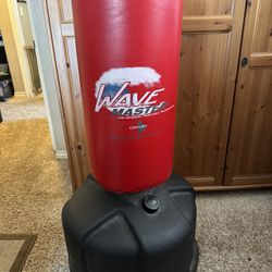 Century Wave Master Boxing/punching Bag
