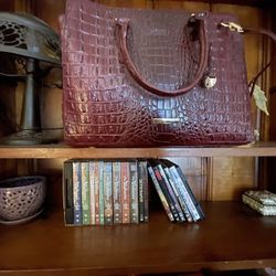 Large Alligator Look Leather Purse