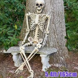 Skeleton 💀 Decoration‼️