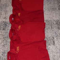 Size Youth Large Idea public schools Shirts 