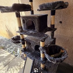 Cat tower house
