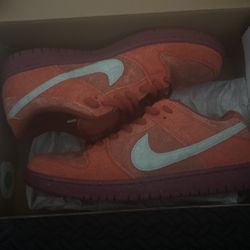 Limited Nike Sb Dunk Low Pro Premium