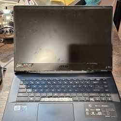 MSI GE66 Raider Gaming Laptop 