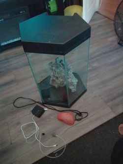 Verticle hexagon 20 gallon tank