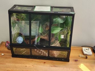 terrarium w specimens