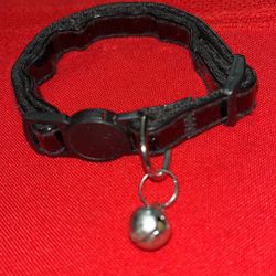 $2 X-Small Black Pet Collar