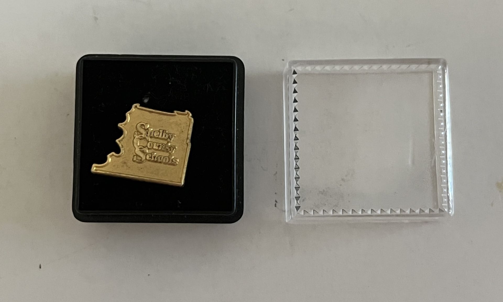 New Vintage Shelby County Schools Gold Tone Lapel Pin with case