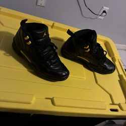 Retro Jordan 12s