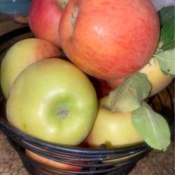 Macintosh Apples $5 Every 3lbs