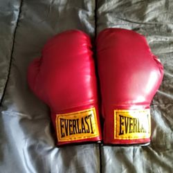 Everlast Boxing Gloves 