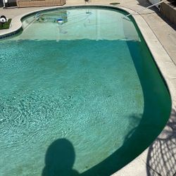 Need Pool Cleaning