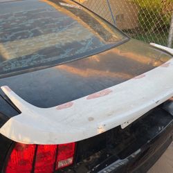 Mustang Wing