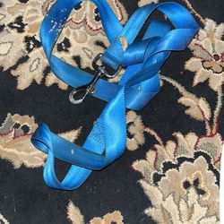 Dog Leash
