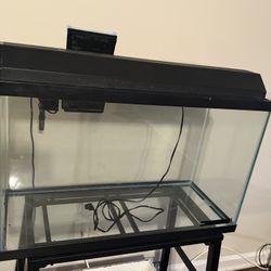 Fish Tank for Sale
