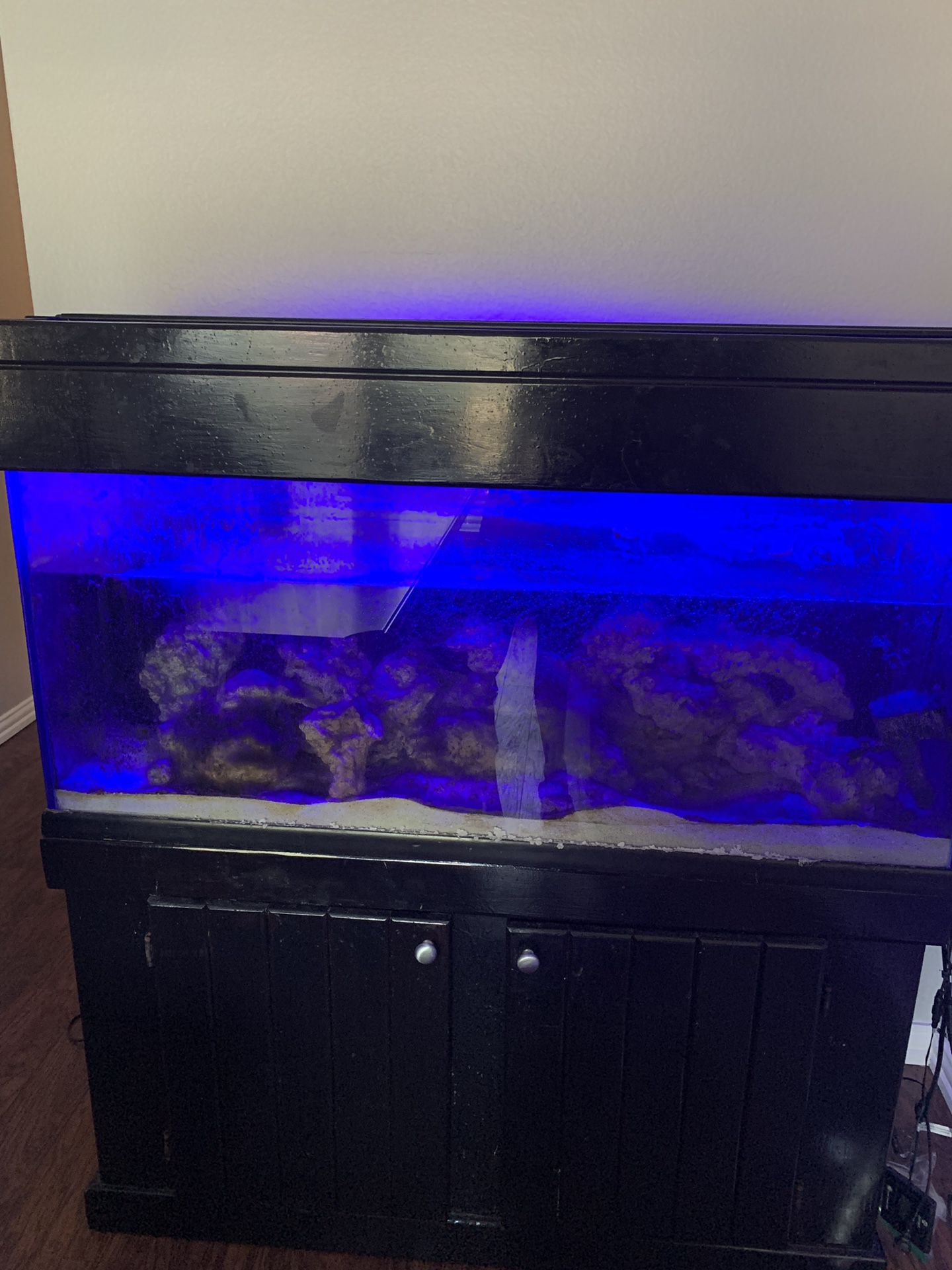 75 gal drilled aquarium fish tank