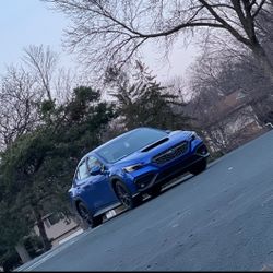 2024 Subaru WRX