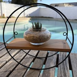 Wall Shelf With Succulent