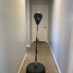 Hyper Flex Punching Bag