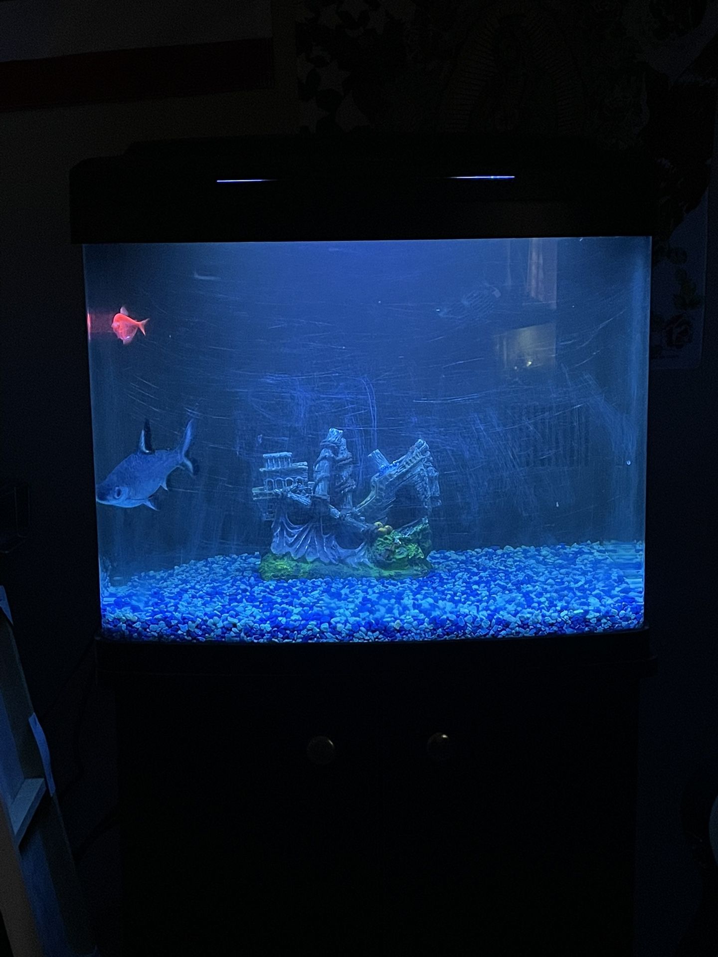 Fish Tank Aquarium Fresh Or Saltwater