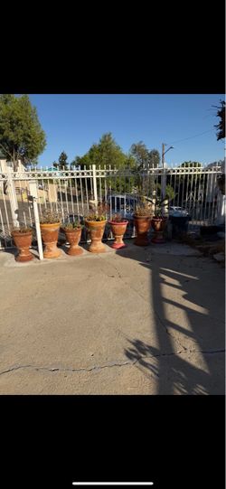 Large planting pots with plants