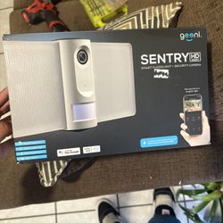 Sentry cam