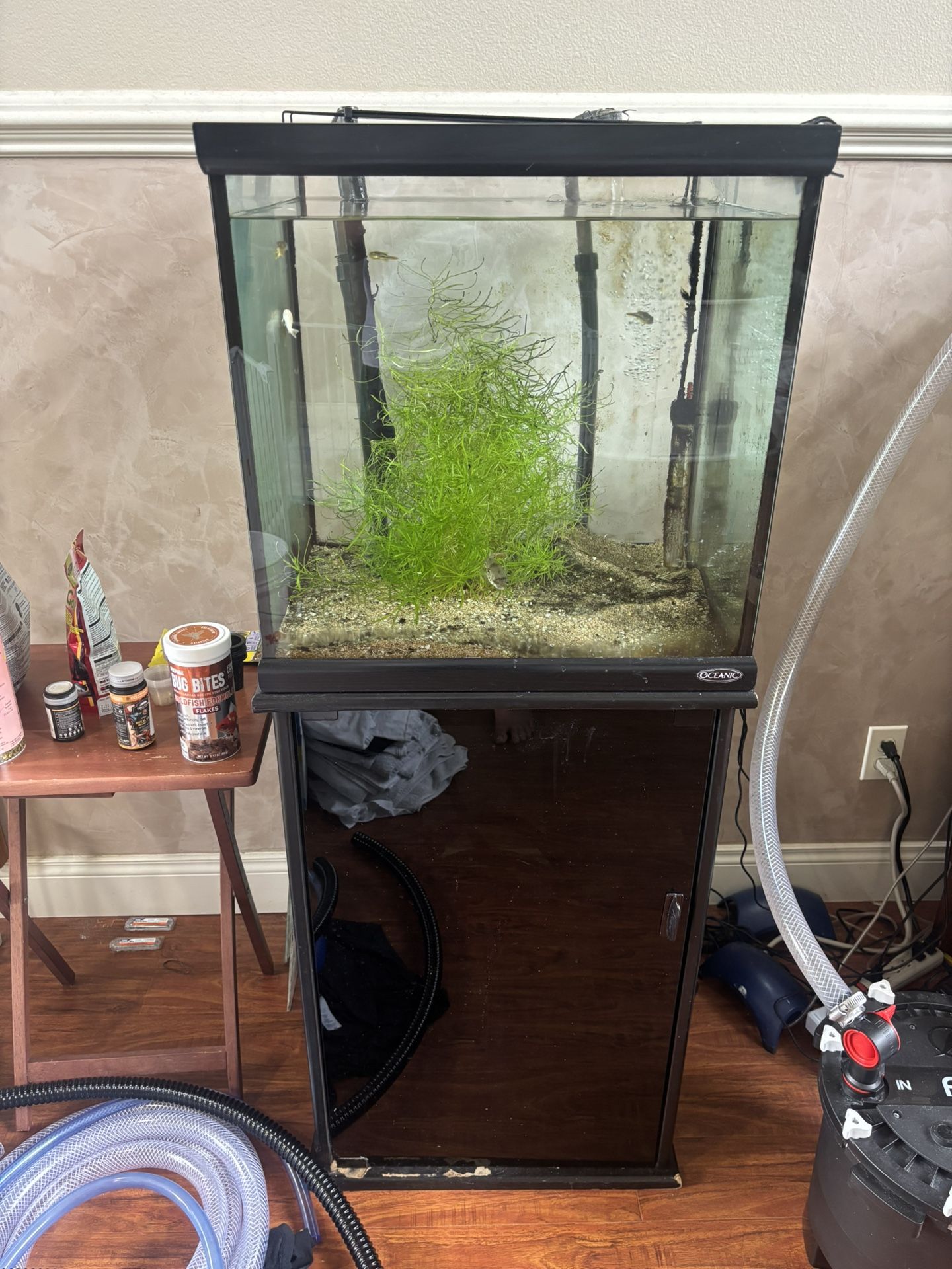 Fish Tank 25-30 Gallon Square With Filter