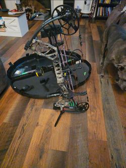 Bear Archery