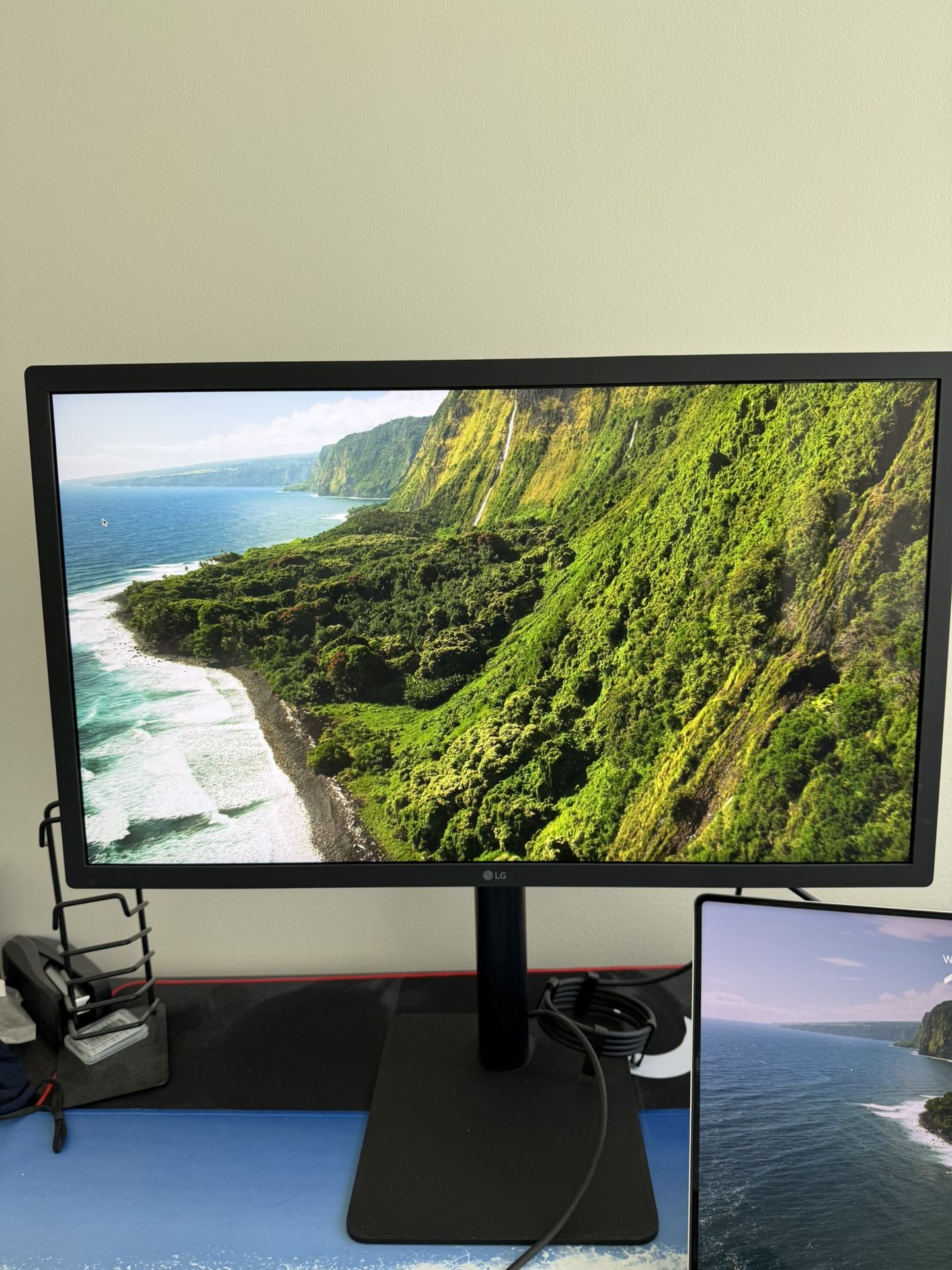 LG Ultrafine 24” 4K Model 24MD4KL