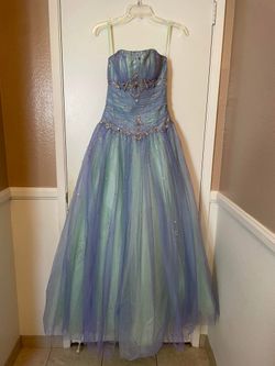 Quinceanera/Formal/Prom Dress